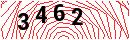 Security Verification