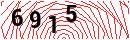 Security Verification