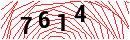 Security Verification
