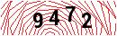 Security Verification