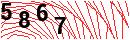 Security Verification