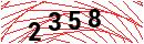 Security Verification