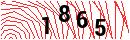 Security Verification