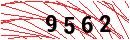 Security Verification