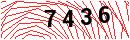 Security Verification
