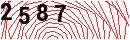 Security Verification
