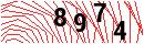 Security Verification