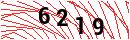 Security Verification