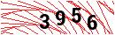 Security Verification