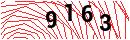 Security Verification