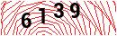 Security Verification