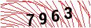 Security Verification