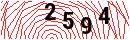 Security Verification