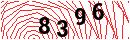 Security Verification