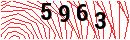 Security Verification