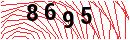 Security Verification