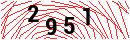 Security Verification
