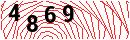 Security Verification