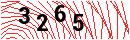 Security Verification