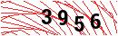 Security Verification