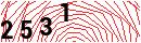 Security Verification