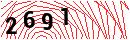 Security Verification