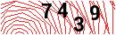 Security Verification
