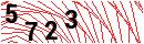 Security Verification