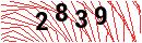 Security Verification