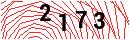 Security Verification