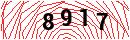 Security Verification