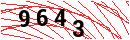 Security Verification