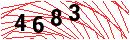 Security Verification