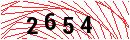 Security Verification