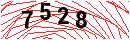Security Verification