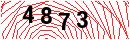 Security Verification