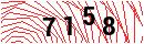 Security Verification