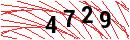 Security Verification