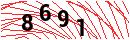 Security Verification