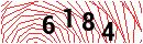 Security Verification