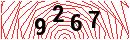 Security Verification