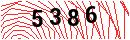 Security Verification