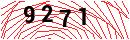 Security Verification