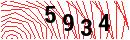 Security Verification