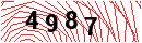 Security Verification