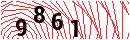 Security Verification