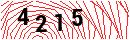 Security Verification
