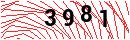 Security Verification