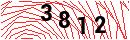Security Verification