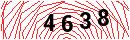 Security Verification